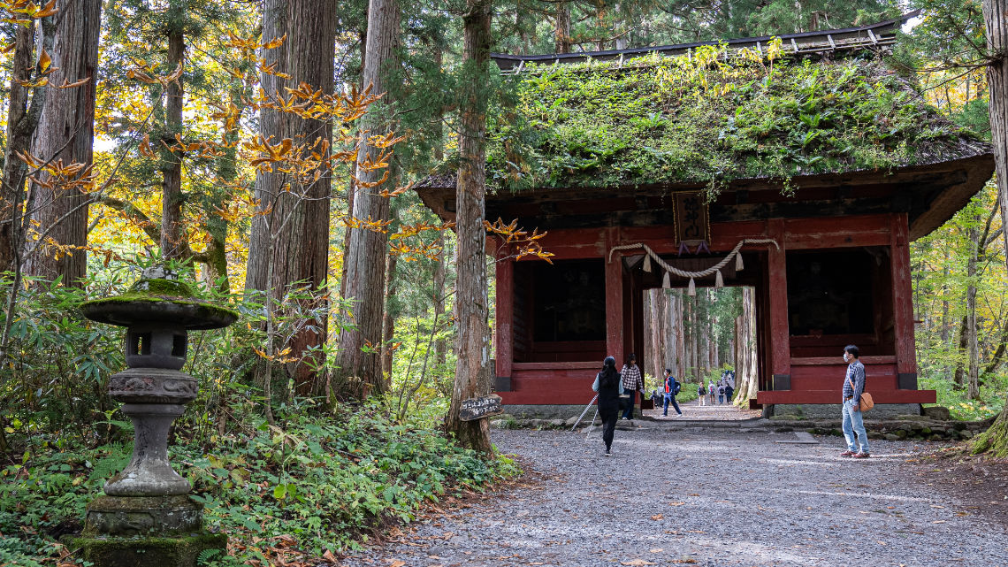 Moss covered gate on an ancient path in Togakushi