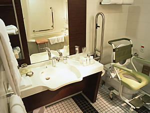 ANA InterContinental Tokyo - Accessible Room 29th floor
