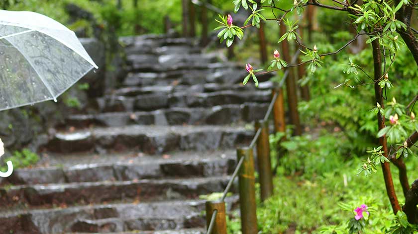 A Day in the Life of… a Person with Cerebral palsy living in Japan