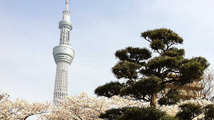 Tokyo Skytree