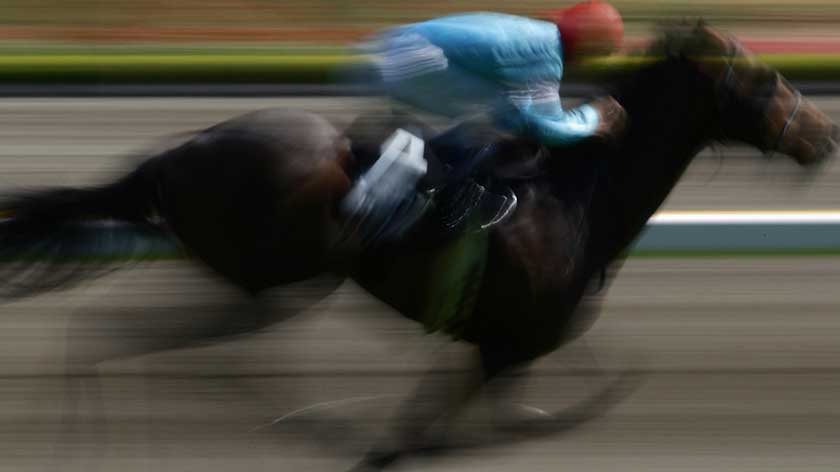 Disabled Former Jockey gets a Fresh Start with Paralympic Hope