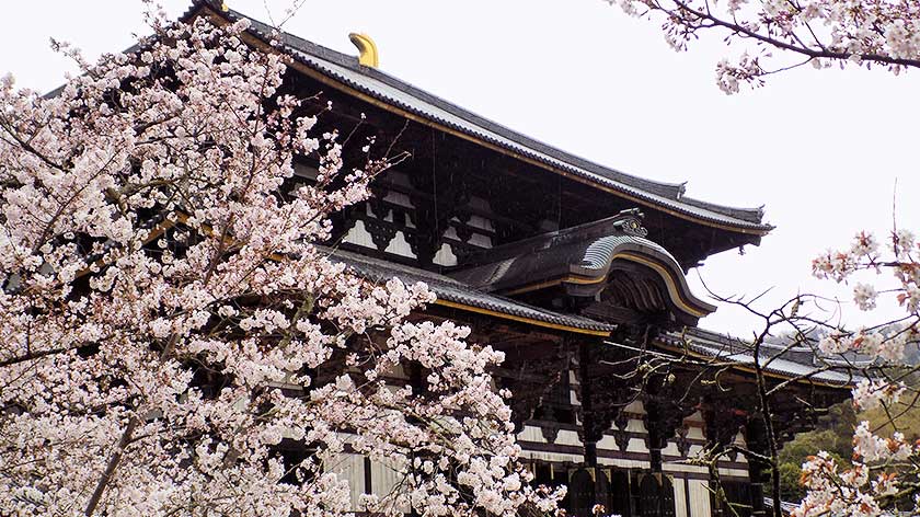 Kyoto in a Manual Wheelchair by Susie from Wheelchair World – Part 2