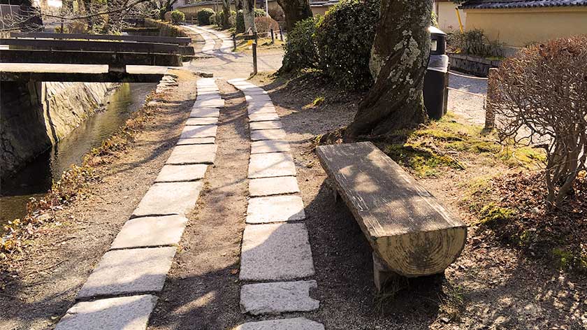 A bench on the Philosopher's Walk