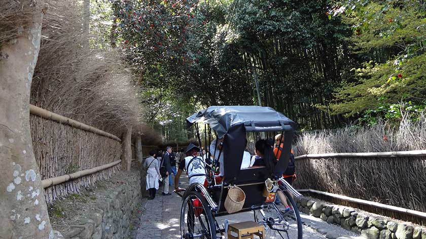 Rickshaw riders entering the bamboo grove