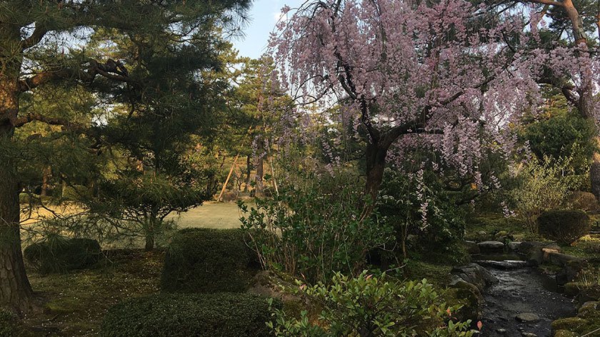 Trees in Kenroken
