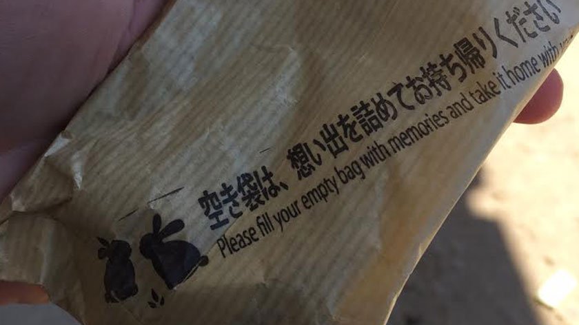 Bunny food