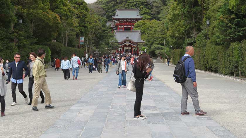 Path at Tsurugaoka Hachimangu