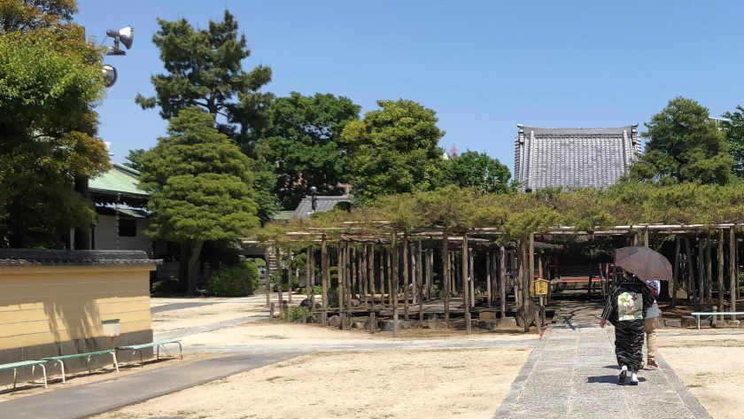 Zenyoji Temple