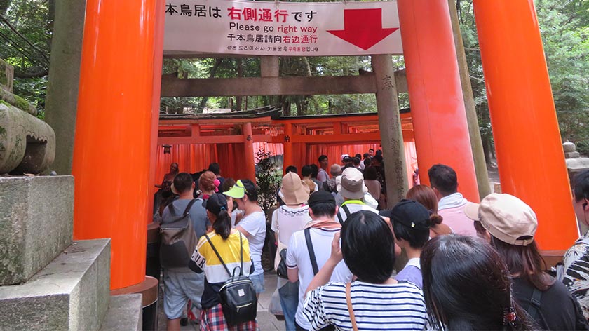Line to go through gates at Fushimi Inari Shrine