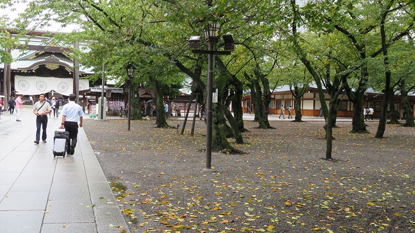 Gravel under the cherry trees at Yasukuni Shrine