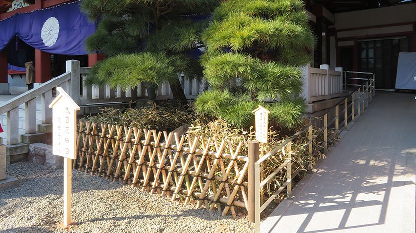 Ramp to sanctuary
