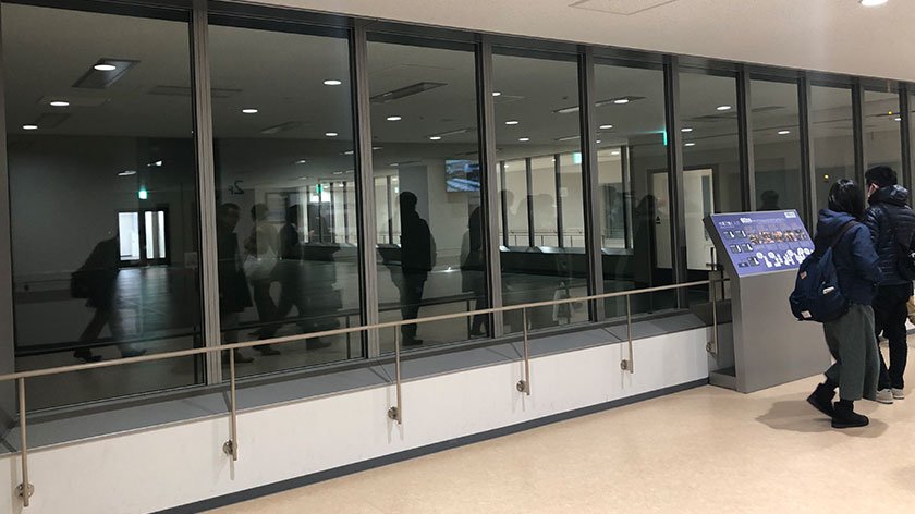 Observation window