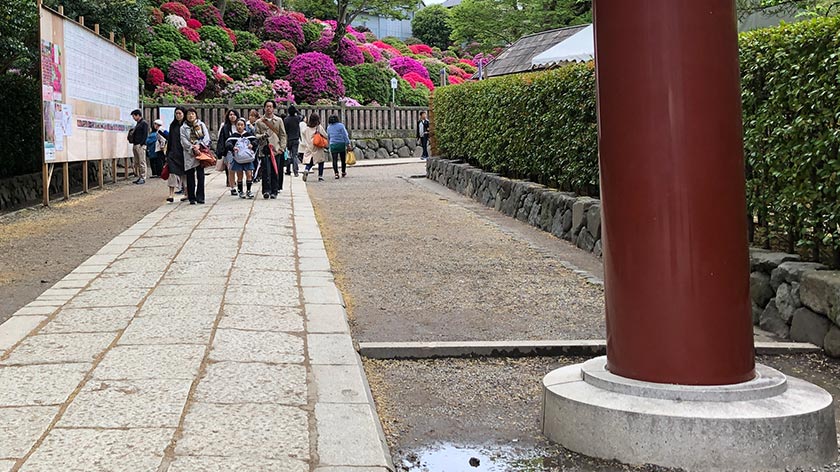 Path at Nezu Jinja