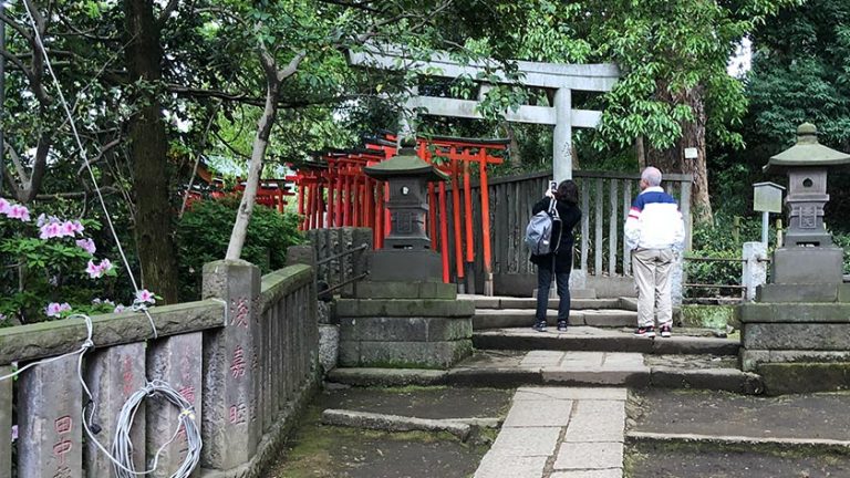 nezu jinja torii path exit 1 768x432