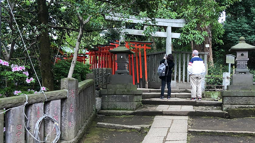 End of torii path at Nezu Jinja