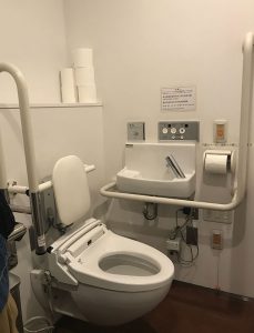 accessible toilet 229x300