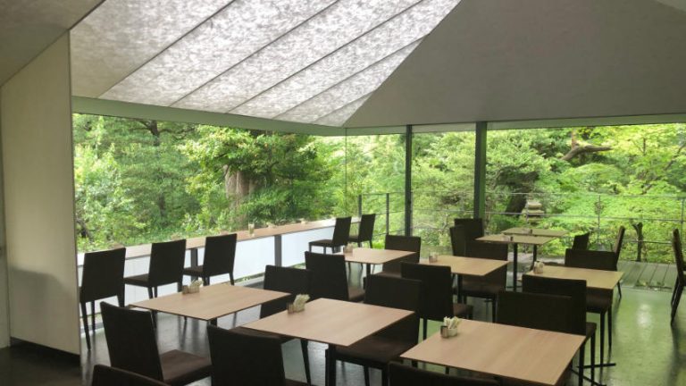 nezu cafe 768x432