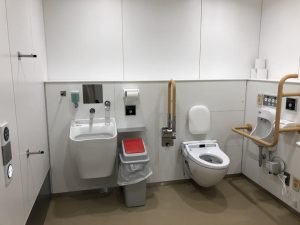 Accessible toilet with curtain