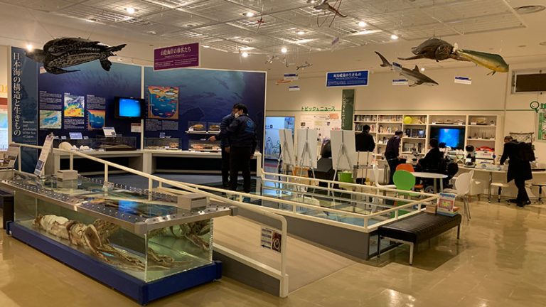 san in kaigan geopark museum inside 1 768x432
