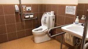 Shimoda Underwater Aquarium accessible toilet 300x169