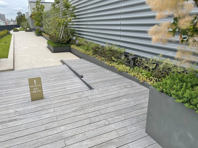 rooftop 1 768x576