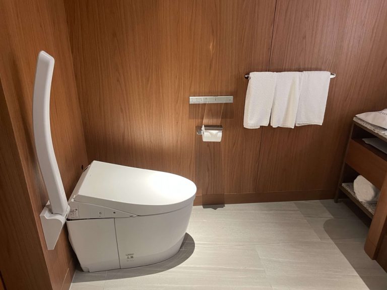 toilet 768x576