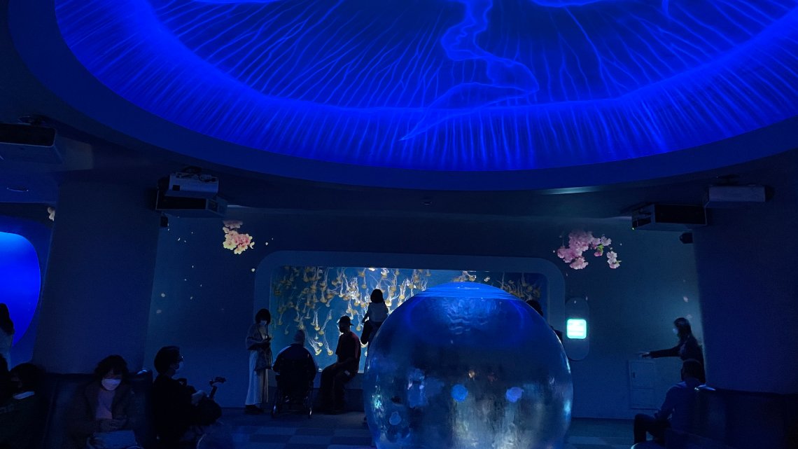 Jellyfish area at Enoshima Aquarium