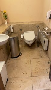 glass toilet 169x300