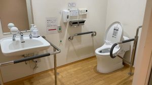 pola toilet1 300x169
