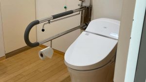 pola toilet2 300x169
