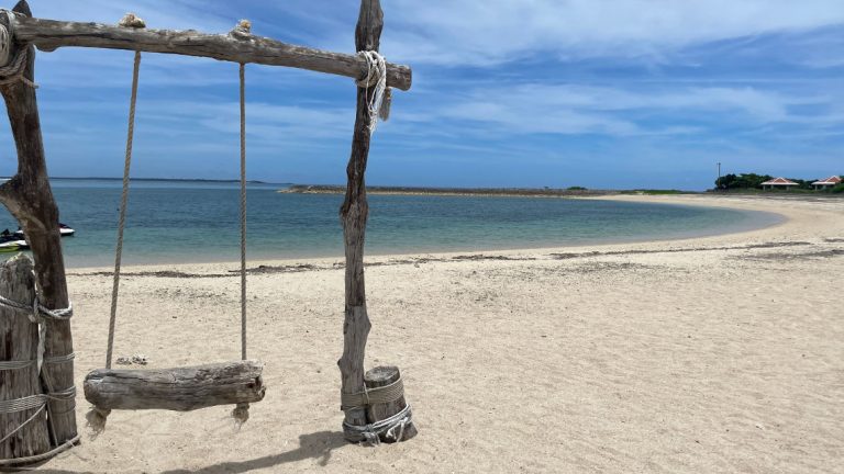 sunsun cover 768x432