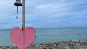 sunsun heart 300x169