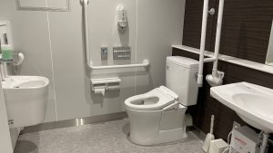auction toilet 300x169