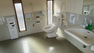 market toilet 300x169