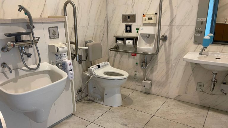 toilet 2 768x432