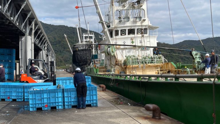 unloading 768x432
