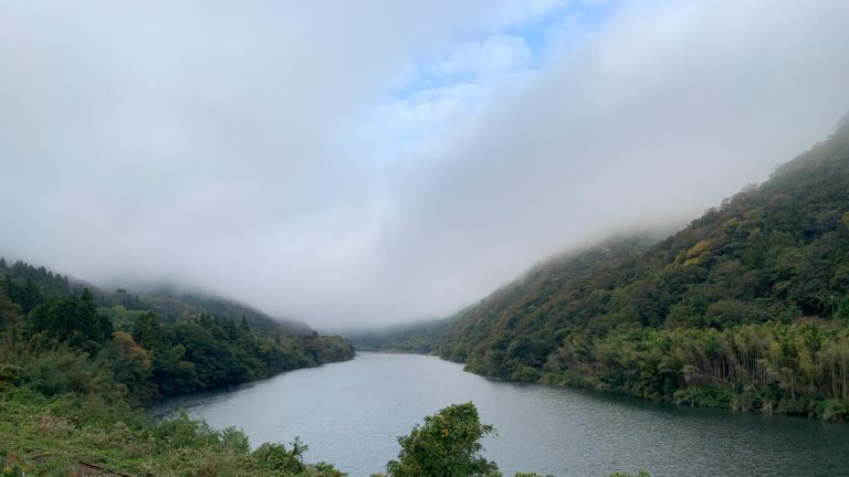 View from room View from room