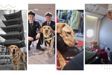 A collage of pictures of Assistance Dog Nixon