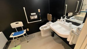 Toilet and sink