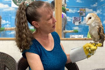 Justin's mother holding an owl. It is perched on her finger. She is wearing a protective glove.
