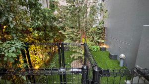 dog run 300x169