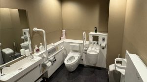 lobby toilet 300x169