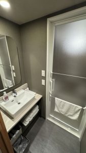premium two bedroom suite main shower 1 169x300