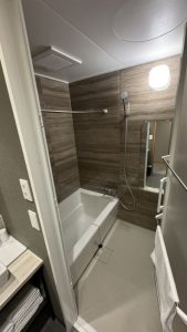 premium two bedroom suite main shower b 169x300