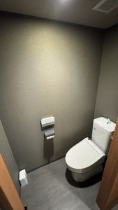 premium two bedroom suite toilet 169x300