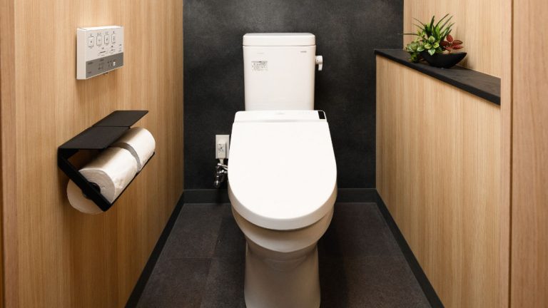 toilet 768x432