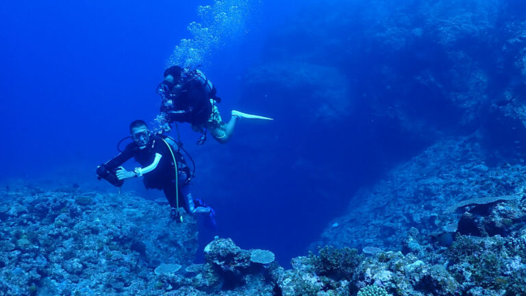 zerogravity diving 3 768x432