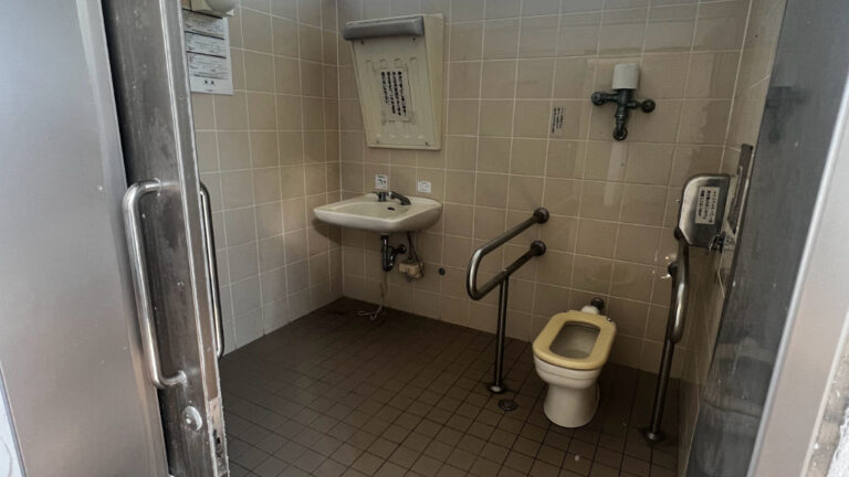 toilet 768x432
