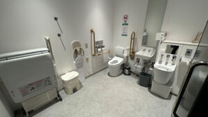 toilet 300x169