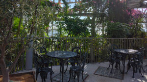 Metal tables and chairs in a rest area surrounded by lush greenery and flowers inside the Glasshouse.